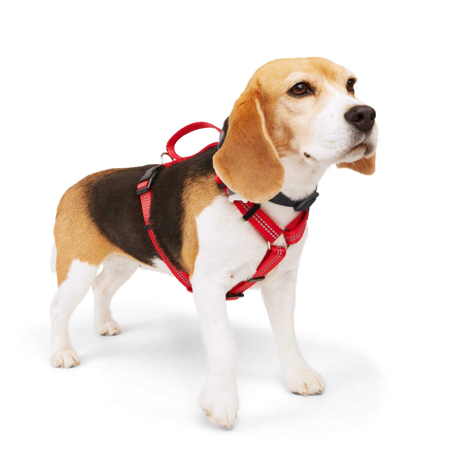 Youly Reflective Dog Harness - Healthber