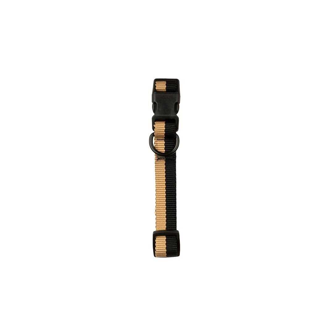 Sonoma Goods For Life Colorblock Pet Collar - Healthber