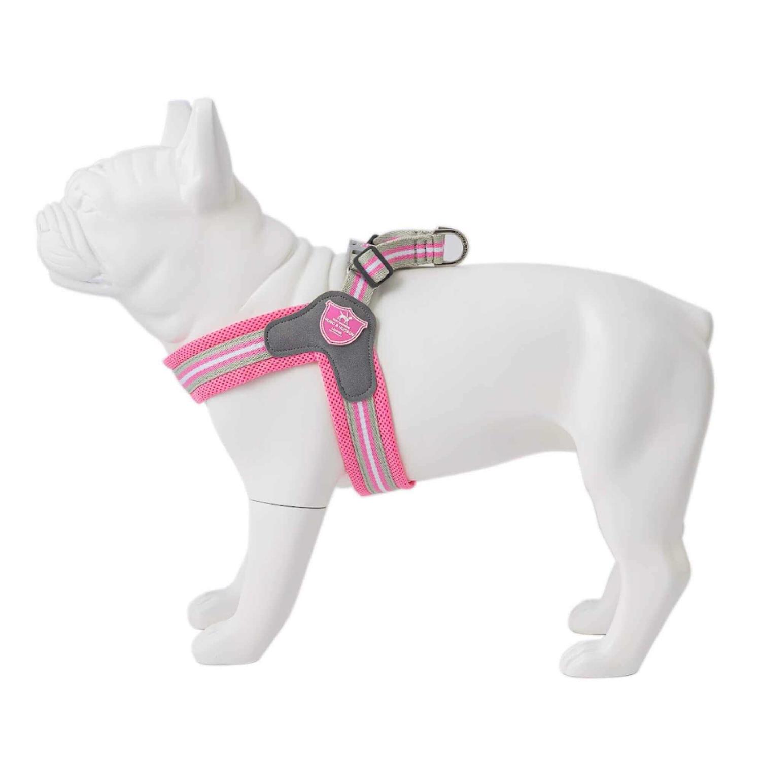 HUGO & HUDSON Easy Walk V Dog Harness - Healthber