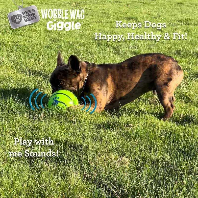 Wobble Wag Giggle Ball Dog Toy - Healthber