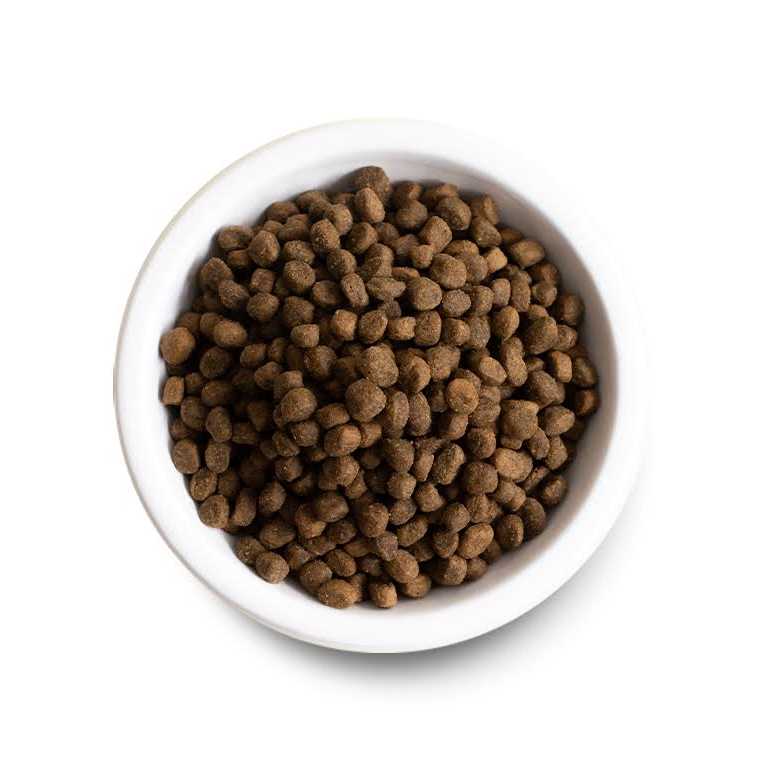 Open Farm Harvest Chicken Ancient Grains Dry Dog Food - Healthber