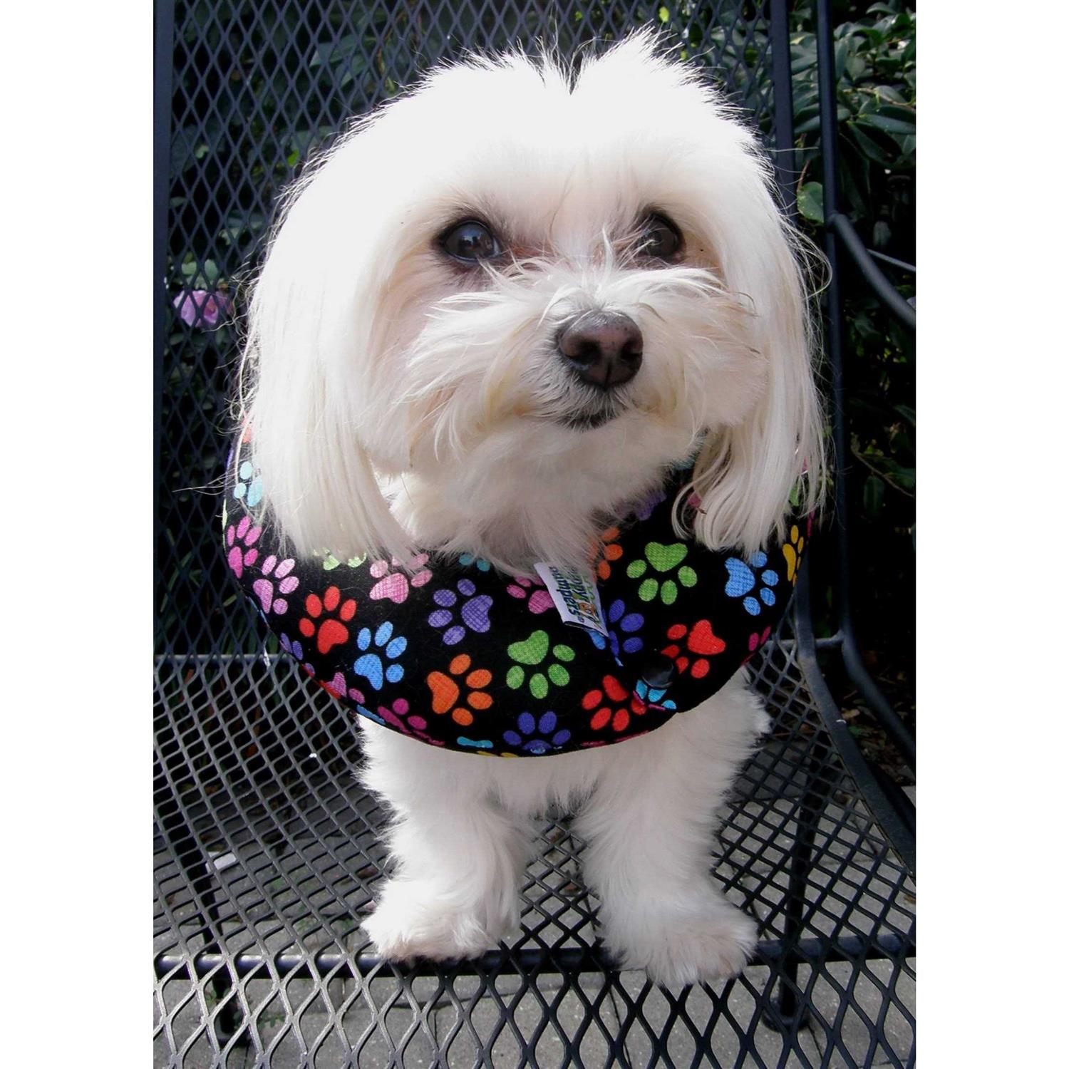 Puppy Bumpers Keep Your Dog on The Safe Side of The Fence - Healthber
