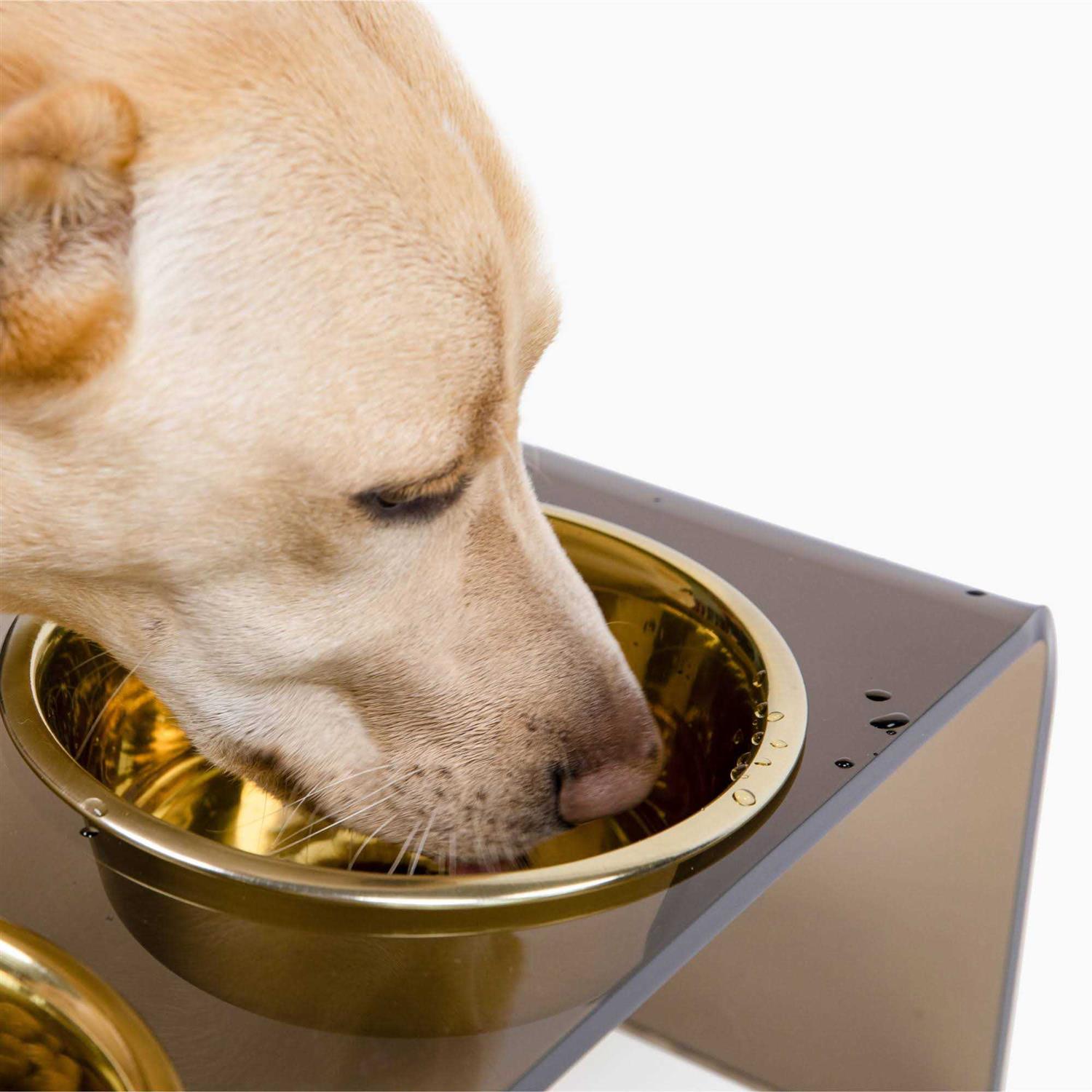 Acrylic Double Bowl Elevated Pet Feeder Hiddin - Healthber
