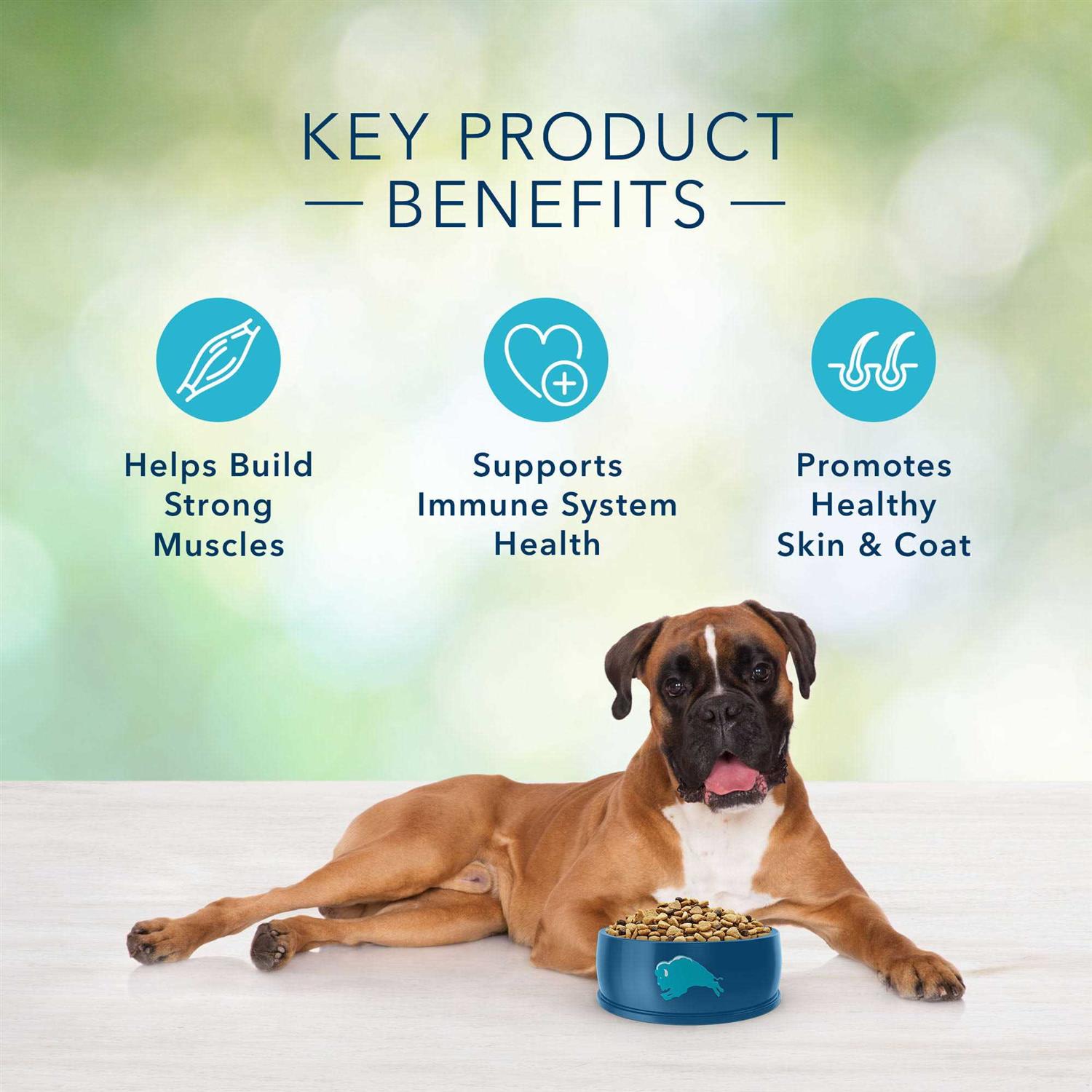Blue Buffalo Freedom Adult Free Dog Food - Healthber