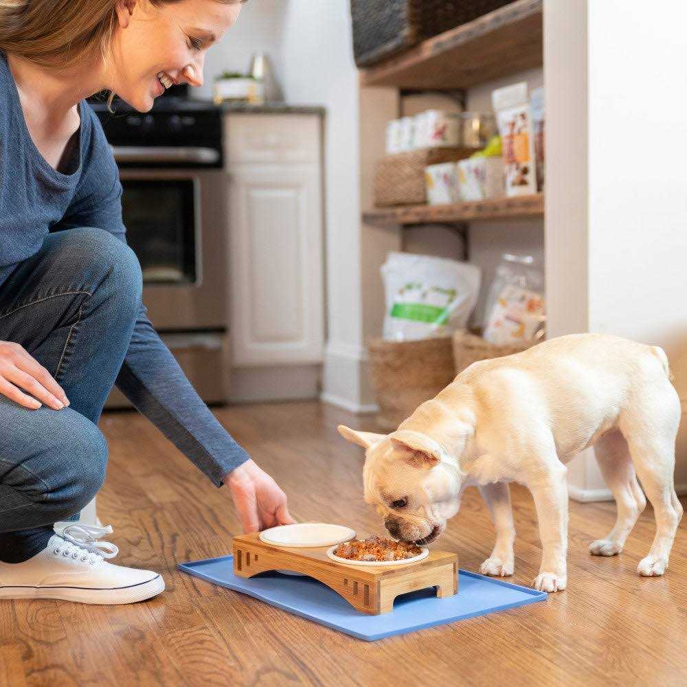 Dr. Harvey&s Veg to Bowl Fine Ground Dog Food - Healthber