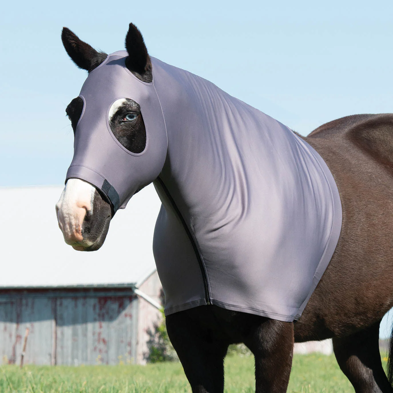 Coolcore Cooling Lycra Hood - Healthber