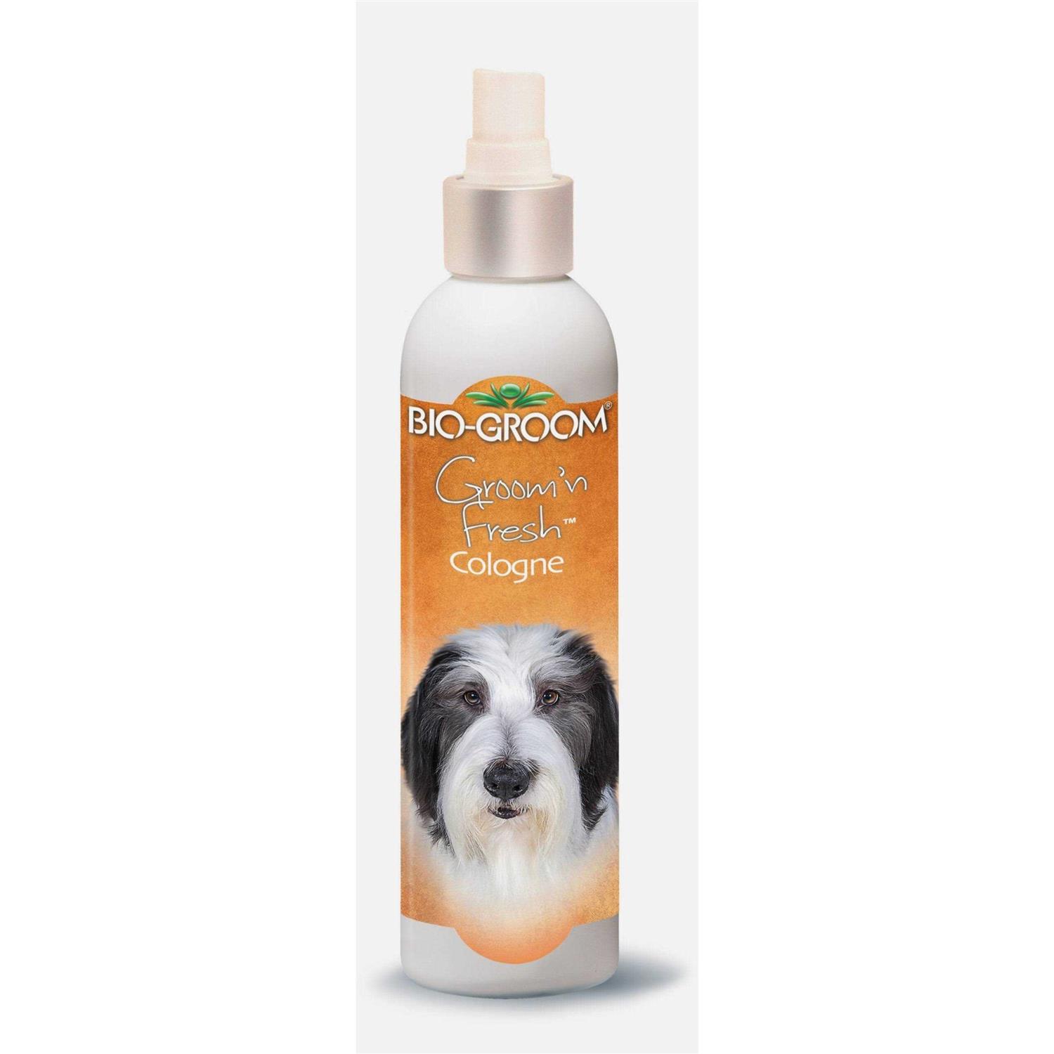 Bio Groom Groom N Fresh Cologne - Healthber