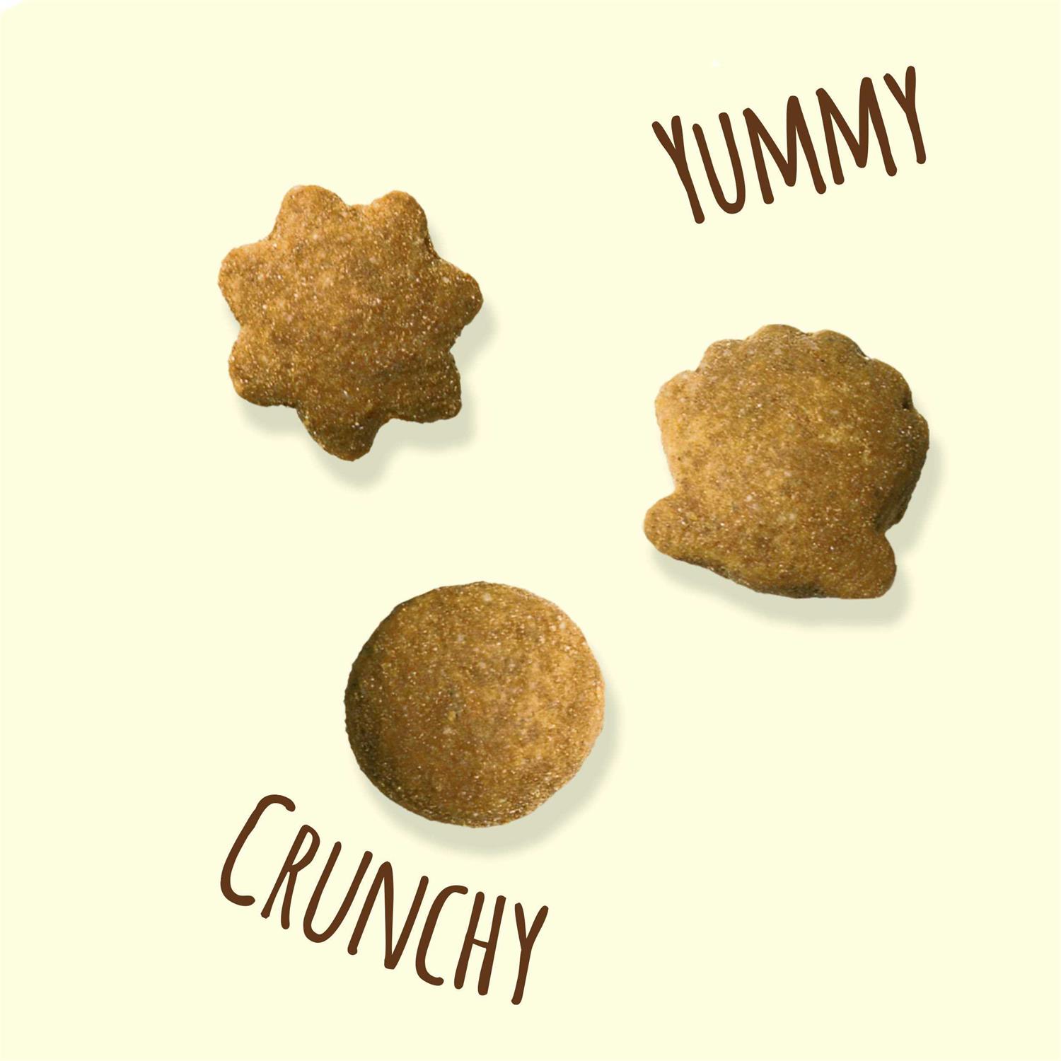 Friskies Party Mix Natural Yums With Real Tuna Cat Treats - Healthber