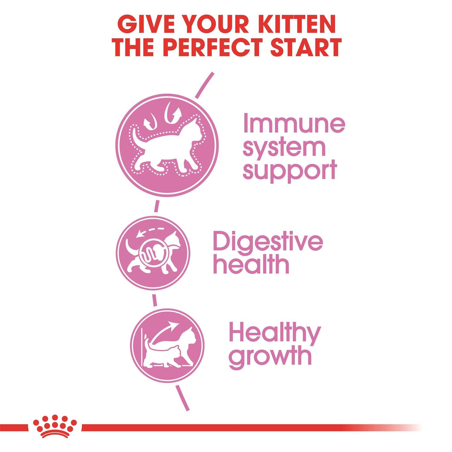 Royal Canin Kitten Feline Health Nutrition Kitten Dry Food - Healthber