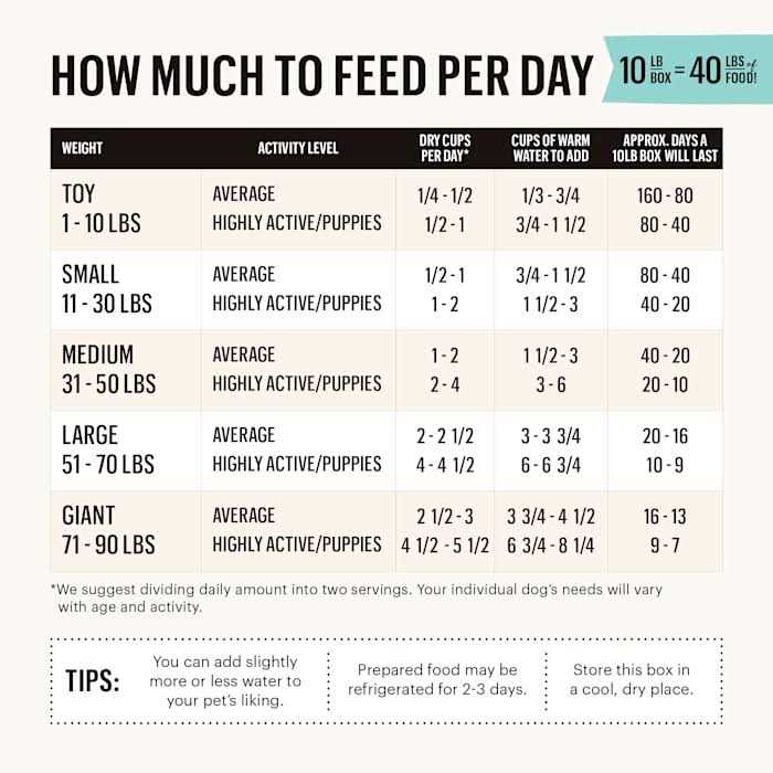 The Honest Kitchen Dehydrated Gourmet Grains Chicken & Duck Dog Food - Healthber