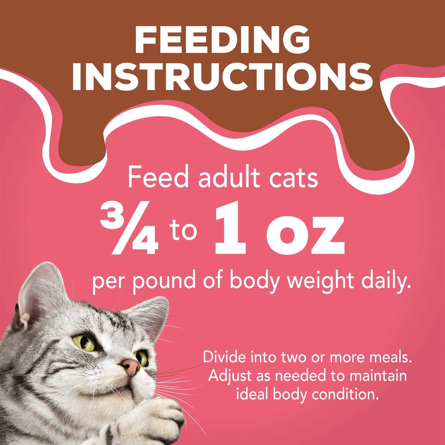 Purina Friskies Extra Gravy Pate Wet Cat Food Gravy - Healthber