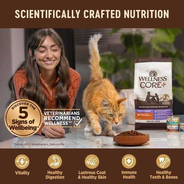 Wellness CORE Digestive Health Chicken & Turkey Pate Variety Pack Wet Cat Food - Healthber