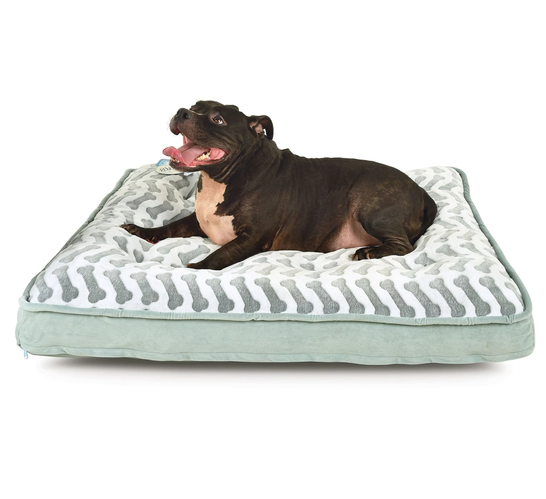 Queen-Size Waterproof Bella Orthopedic Mattress Bed - Healthber