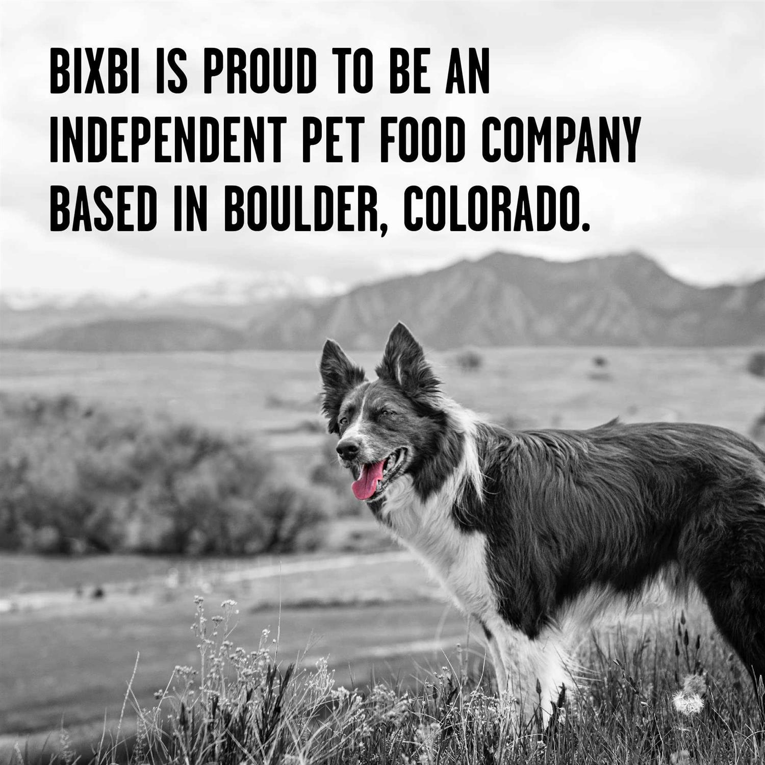 Bixbi Rawbble Dry Dog Food - Healthber