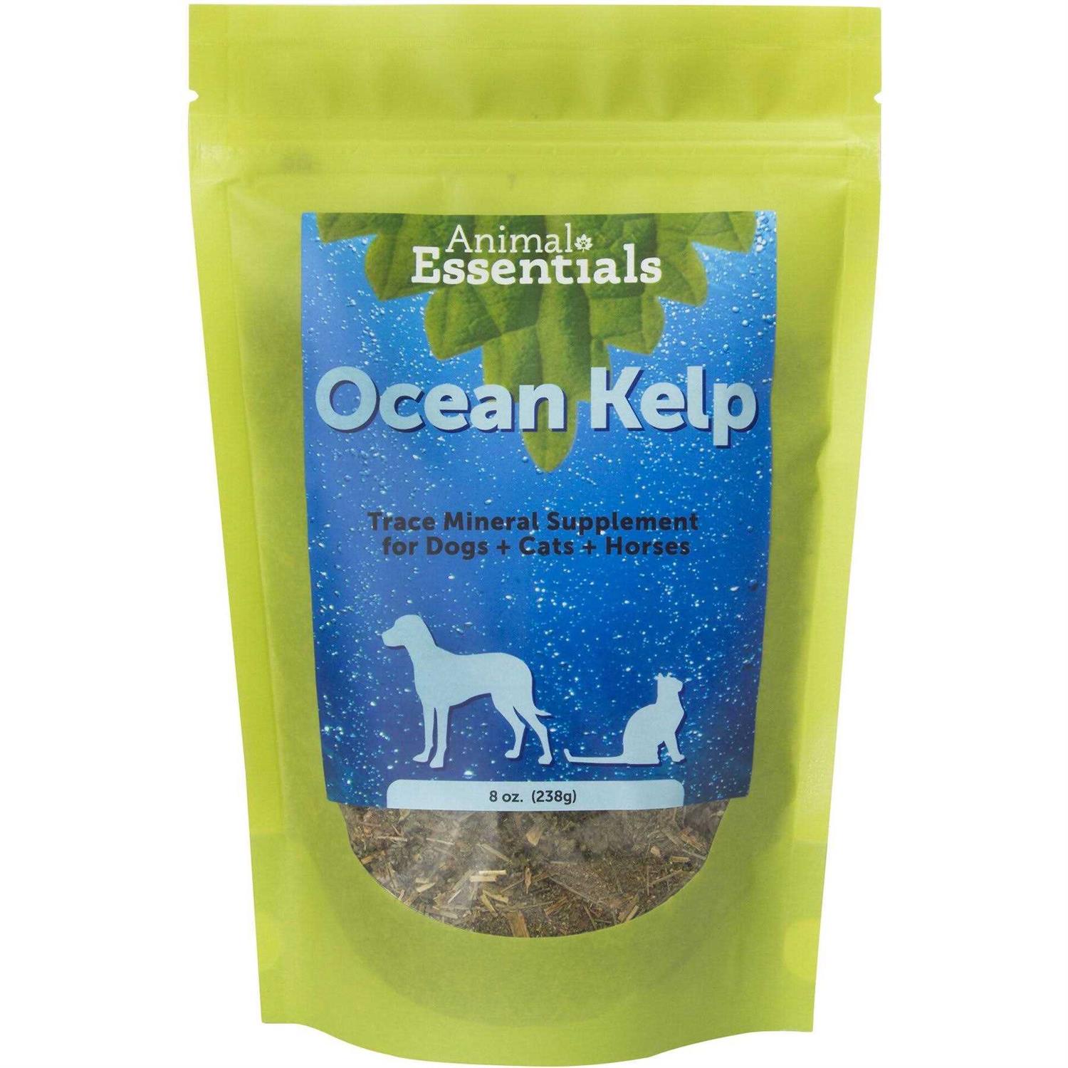 Animal Essentials Organic Ocean Kelp - Healthber