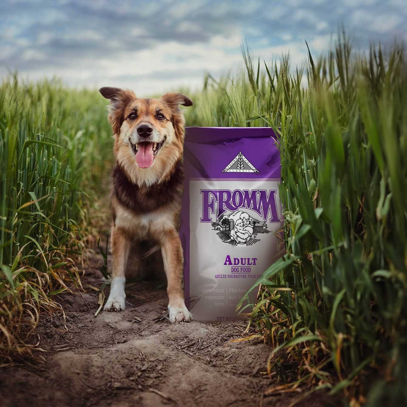 Fromm Classic Adult Dog Food - Healthber