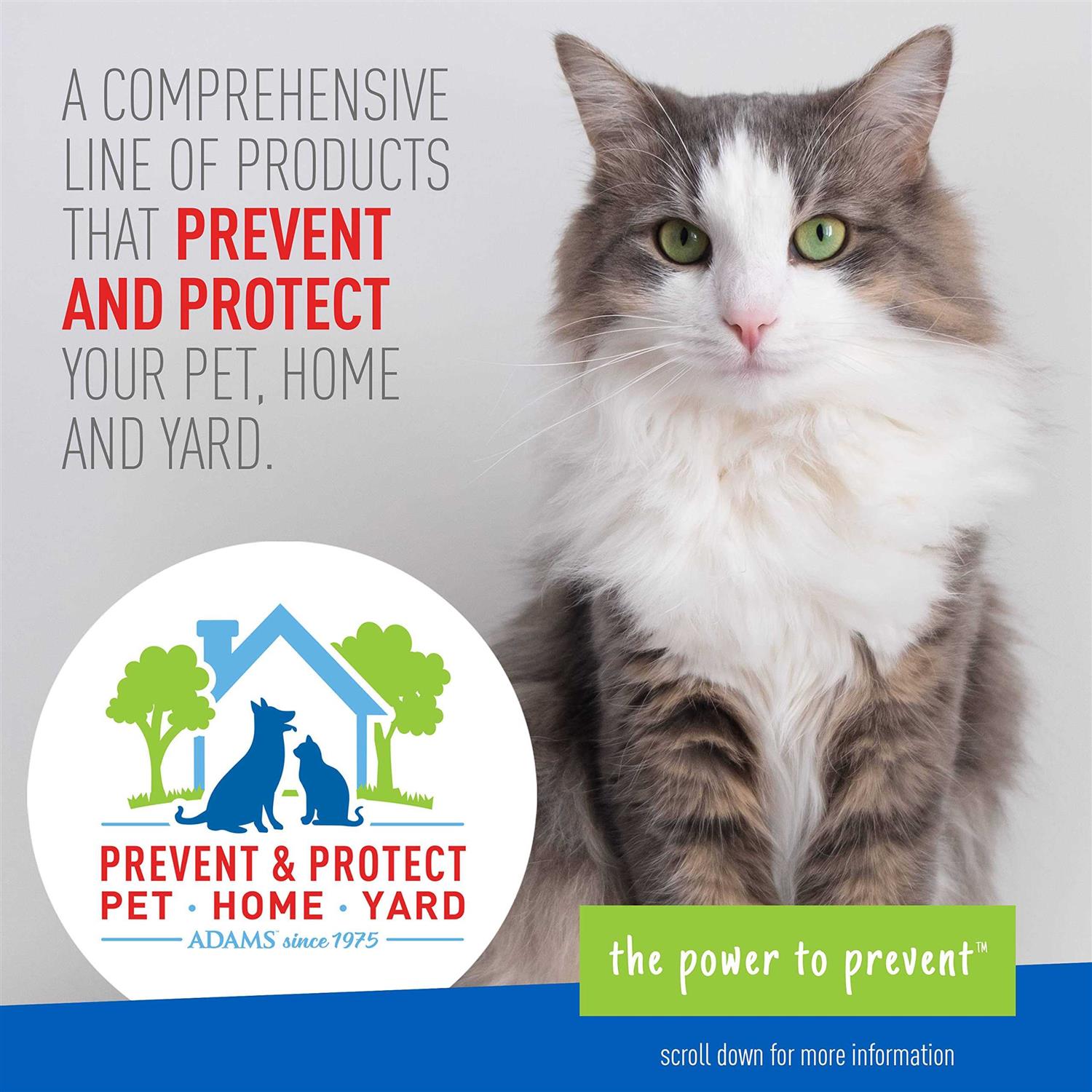 Adams Flea & Tick Cleansing Shampoo for Cats - Healthber