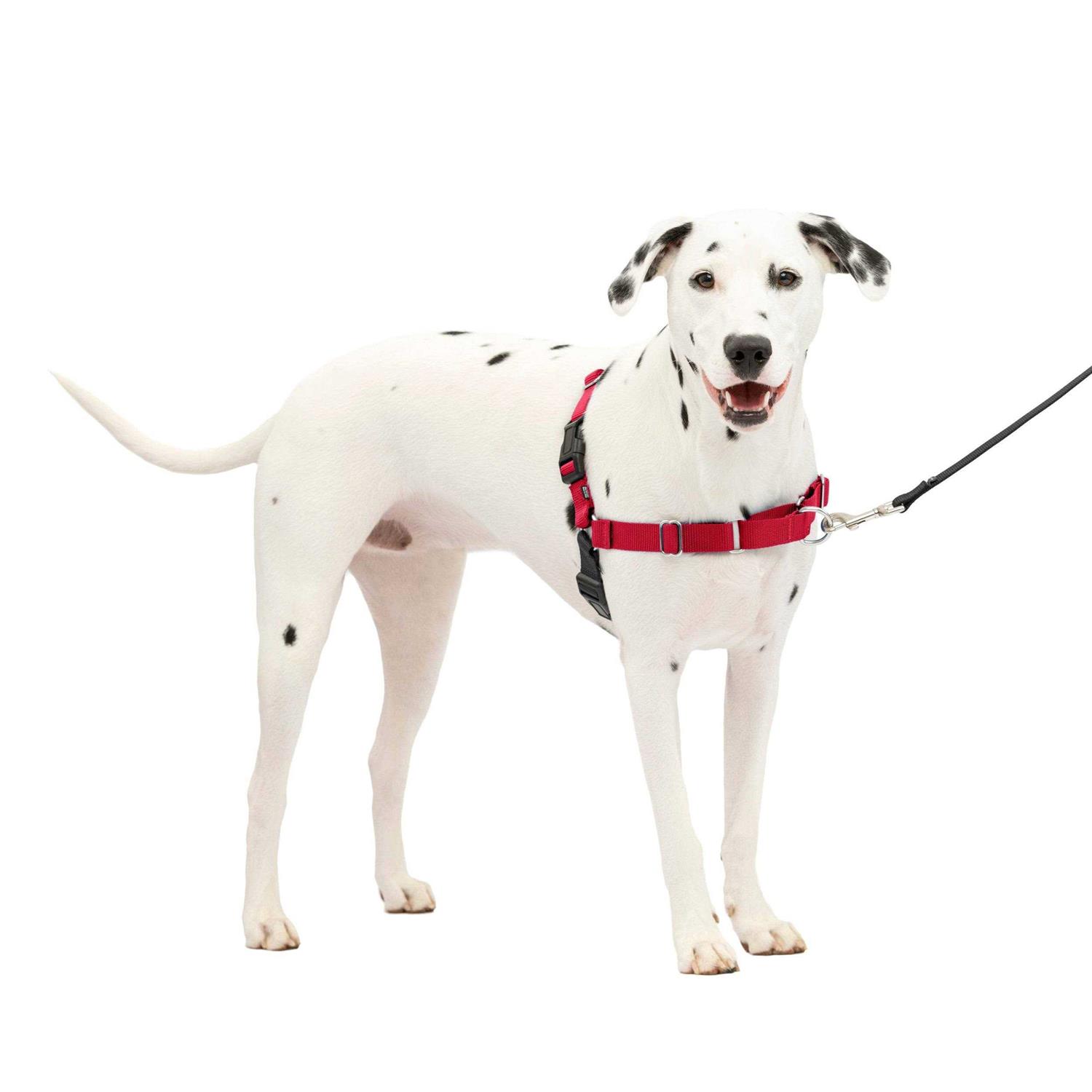PetSafe Easy Walk Dog Harness - Healthber