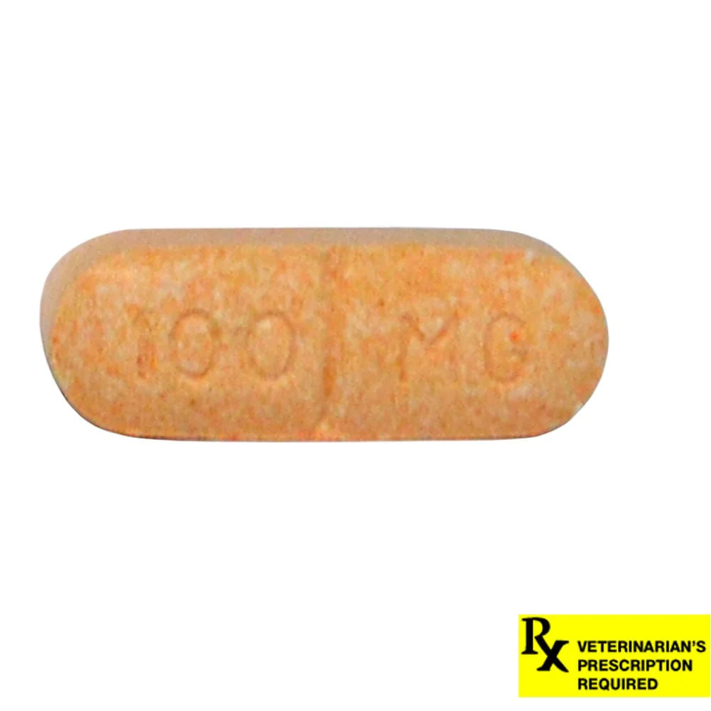 Rx Novox (carprofen) Caplets for Dogs - Healthber