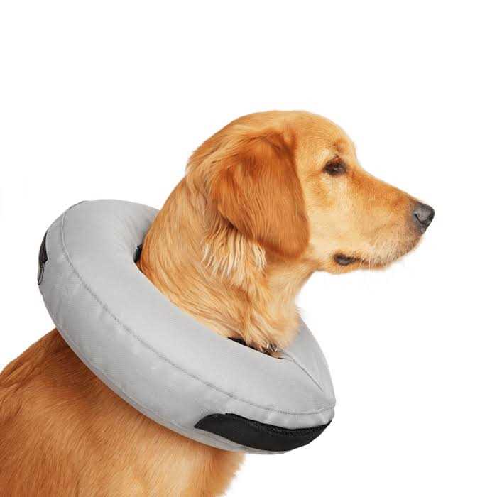 Well & Good Inflatable Dog Collar - Healthber