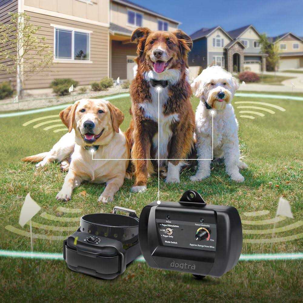 Dogtra E Fence 3500 - Healthber