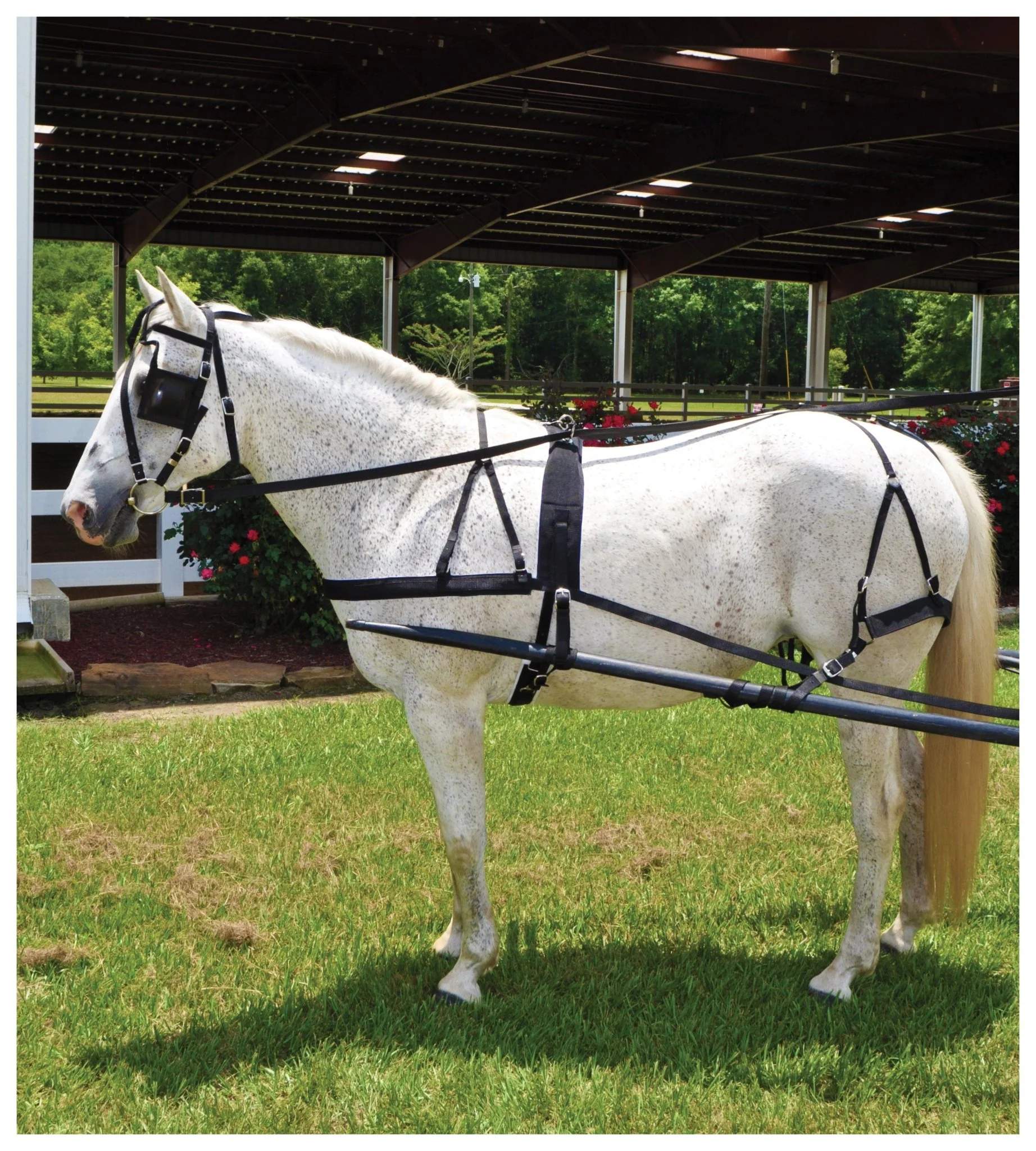 Tough-1 Nylon Driving Harness - Healthber