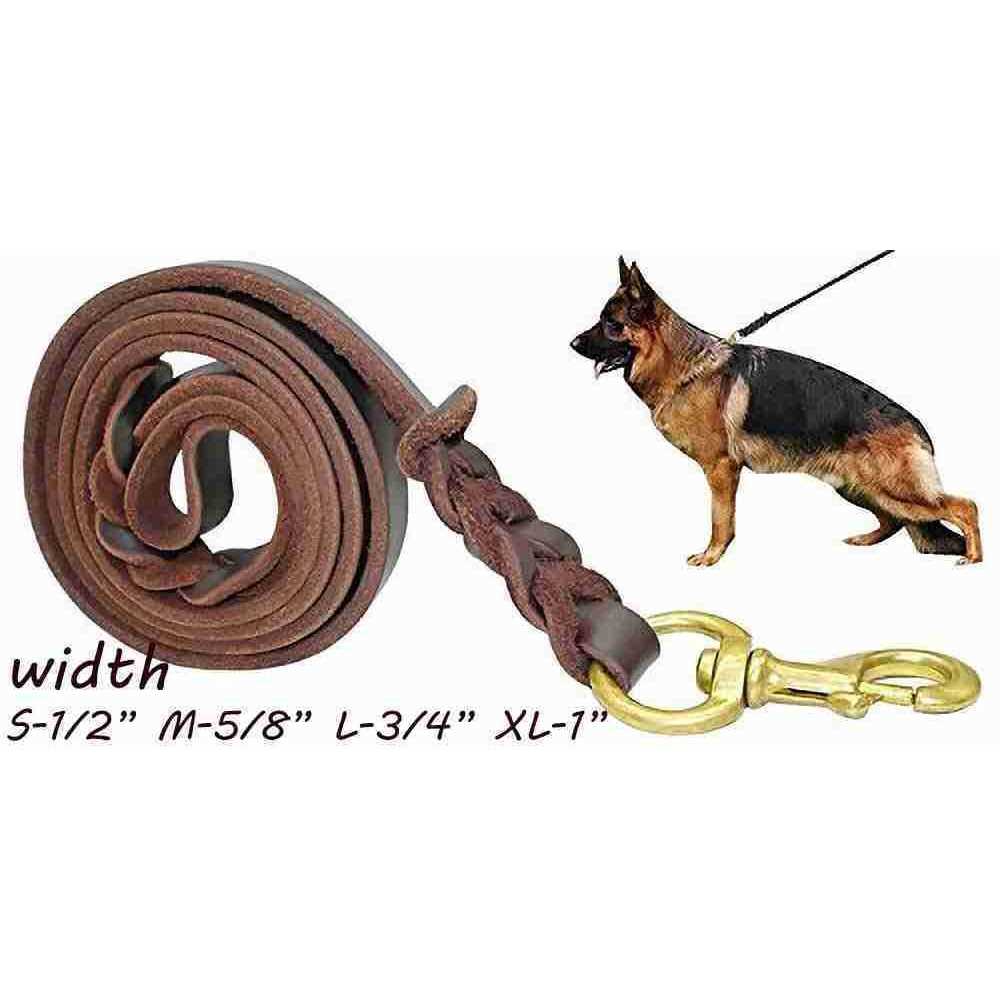 FAIRWIN Leather Dog Leash 6 Foot Braided Heavy Duty Training Leash for Large Medium Small Dogs - Healthber