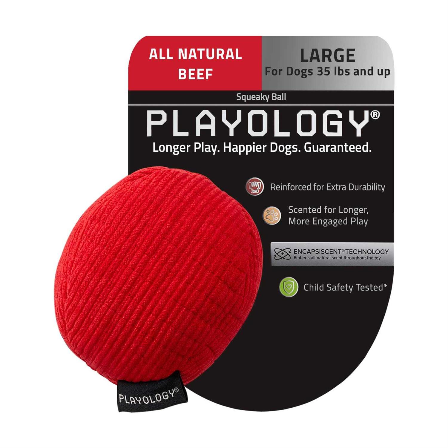 Playology Plush Ball Scented Dog Toy - Healthber