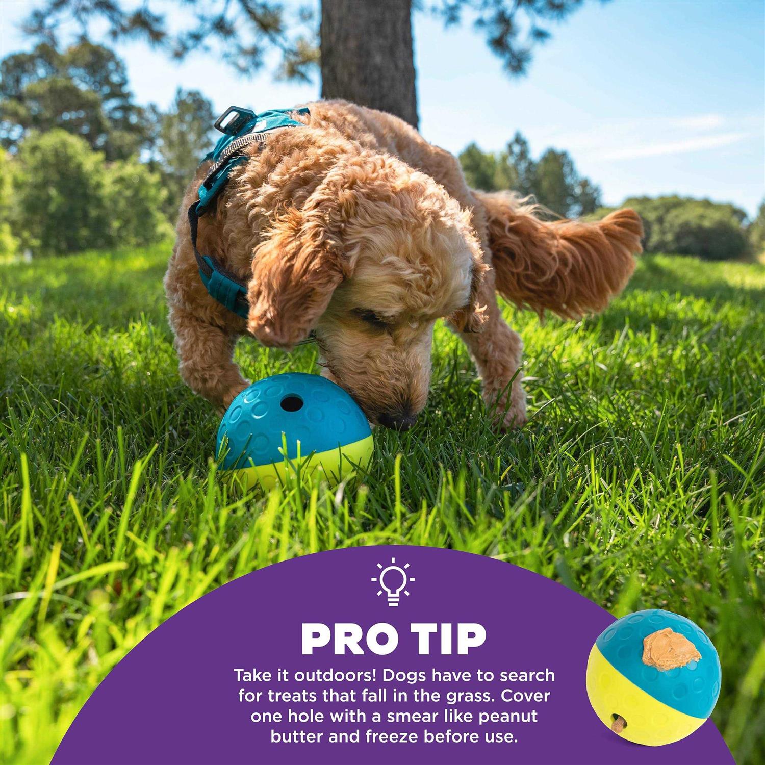 Nina Ottosson Treat Tumble Dog Toy - Healthber