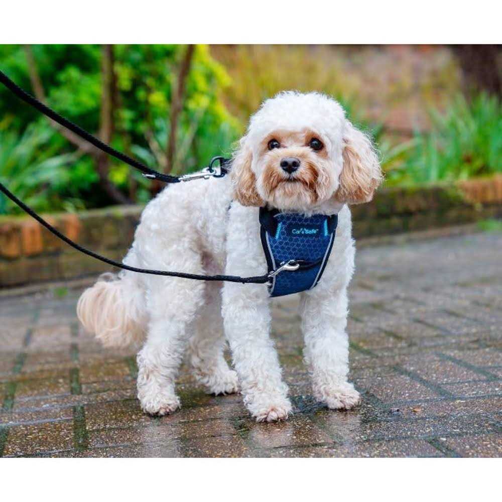 Carsafe Crash Tested Dog Harness - Healthber