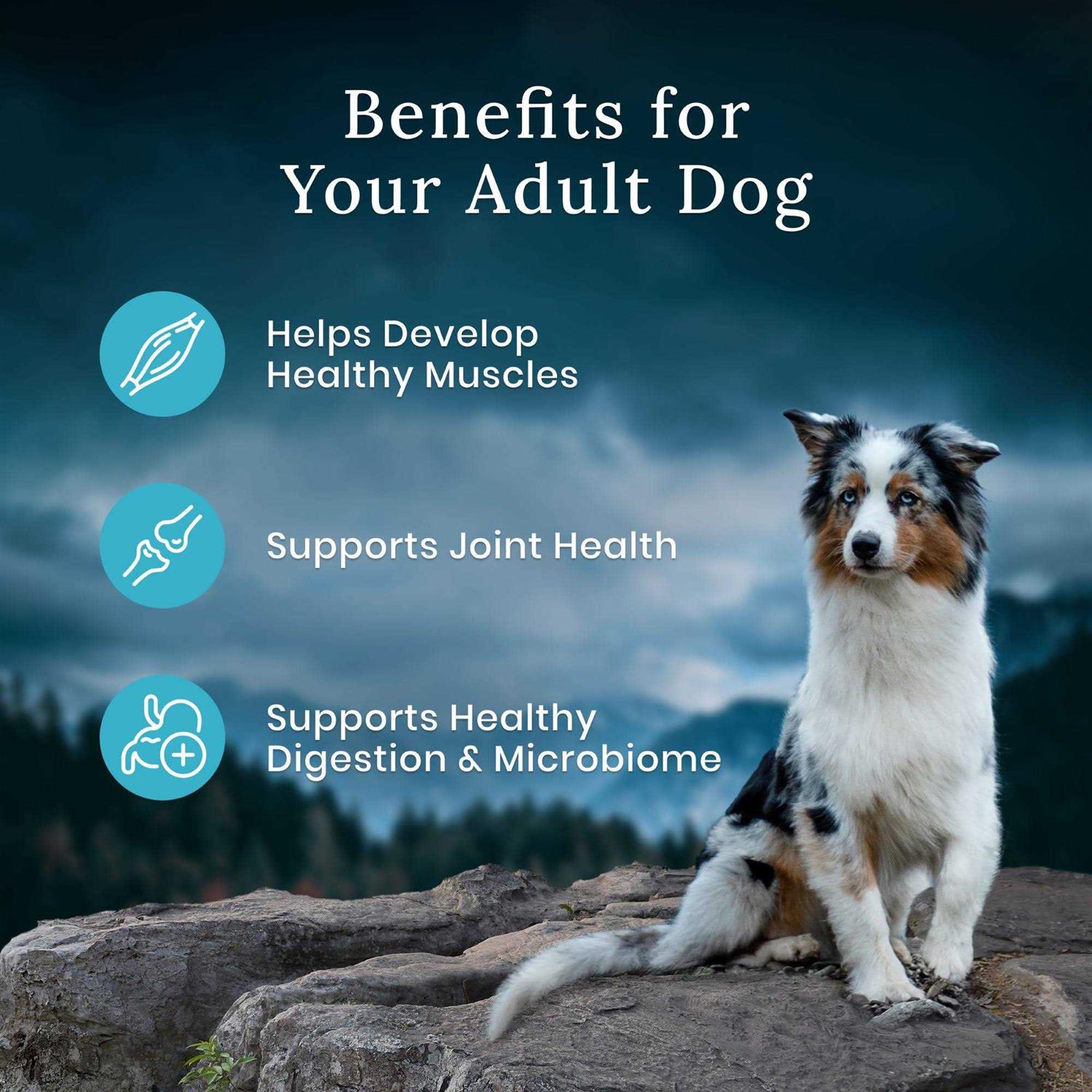 Blue Buffalo Wilderness Chicken Dry Premier Blend Adult Dog Food - Healthber