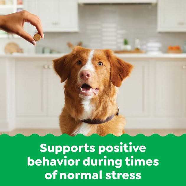 Greenies Supplements Calming Chews for Dogs Chicken Flavor - Healthber