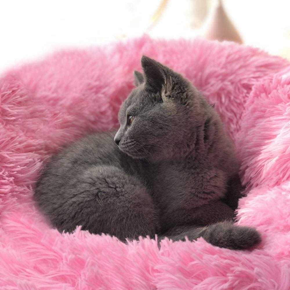 BODISEINT Modern Soft Plush Round Pet Bed for Cats or Small Dogs Mini Medium Sized Dog Cat Bed Self Warming Autumn Winter Indoor - Healthber