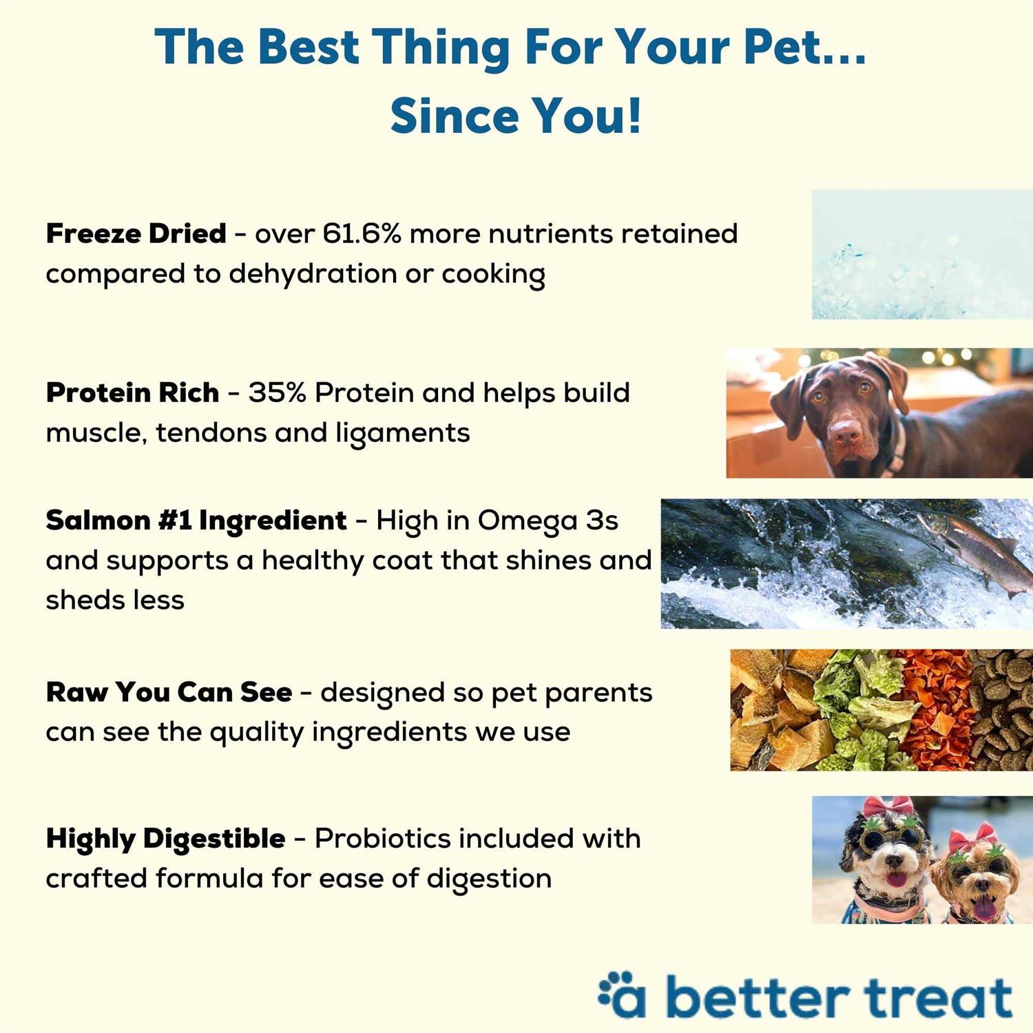 A Better Dog Food Salmon Raw You Can See - Healthber