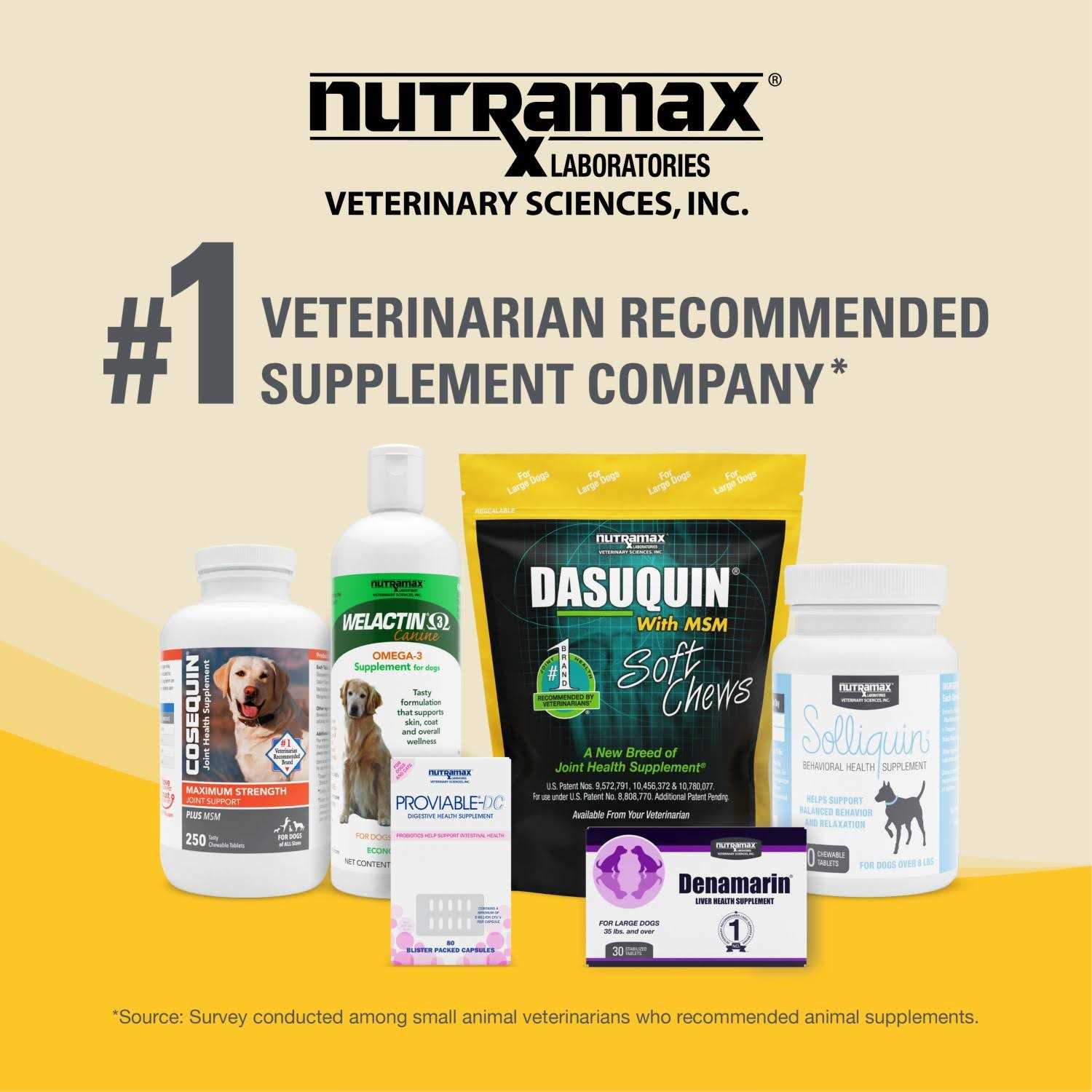Nutramax Dasuquin with MSM Joint Health Supplement for Large Dogs - Healthber