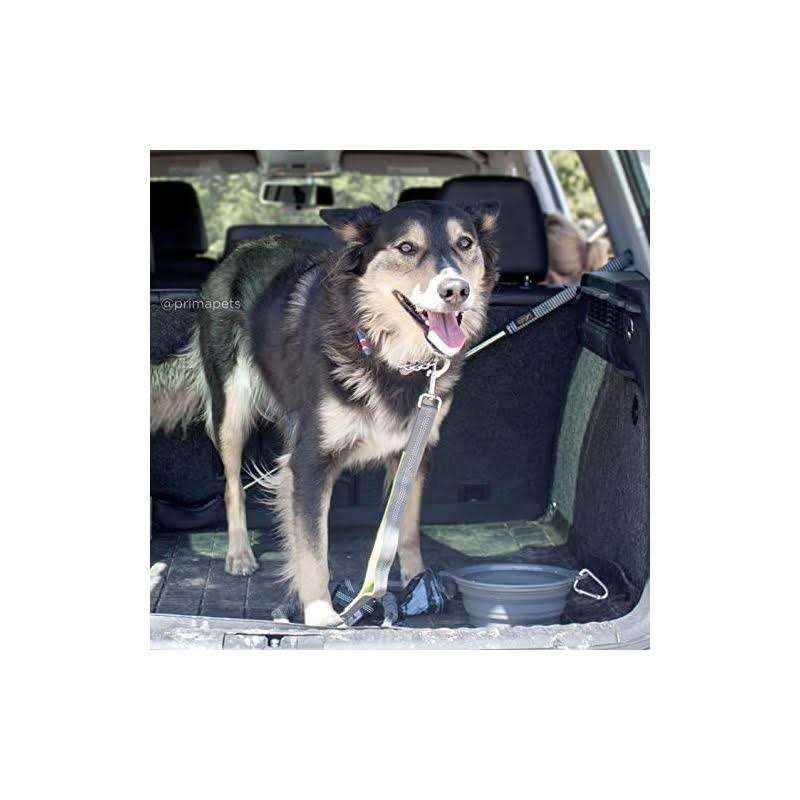 Prima Pets Prima Collapsible Silicone Water Travel Bowl with Clip Dog and Cat - Healthber