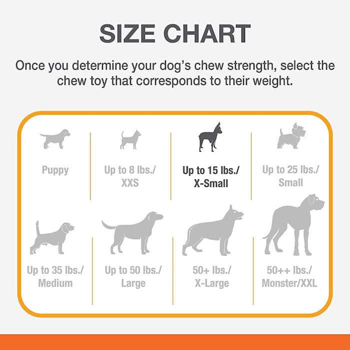Nylabone Puppy Chew Petite Twin Pack - Healthber