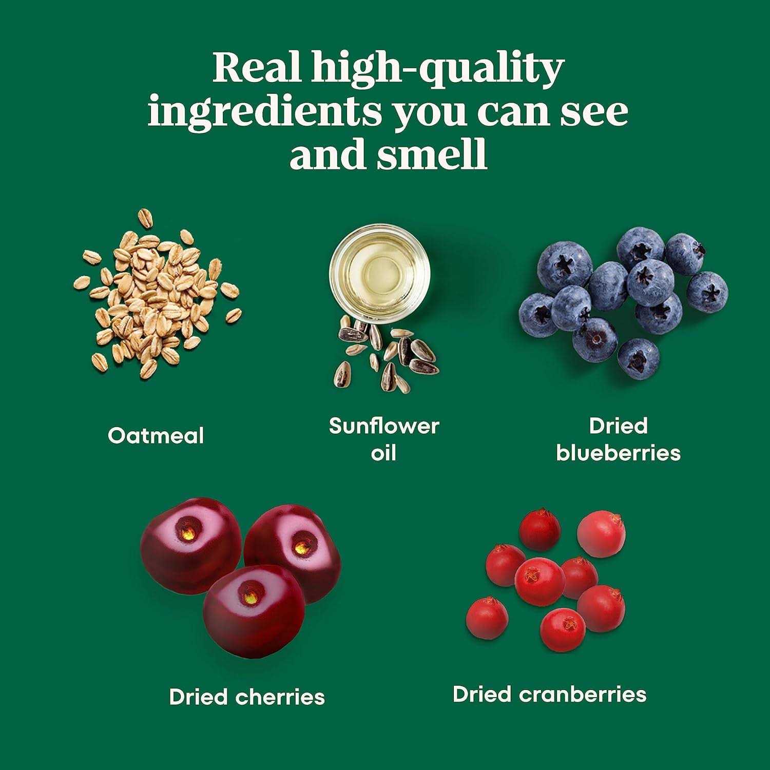 Nutro Crunchy Dog Treats with Real - Healthber