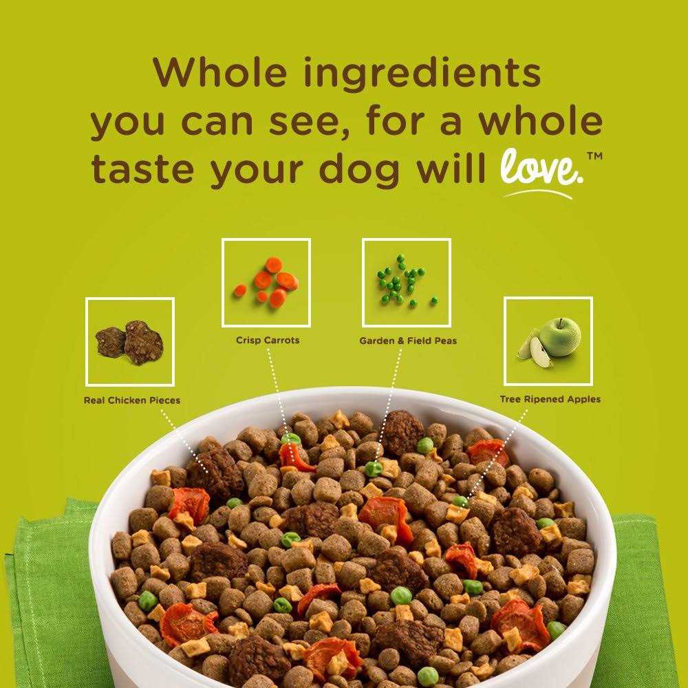 Rachael Ray Nutrish Dish Brown Rice Dog Food - Healthber
