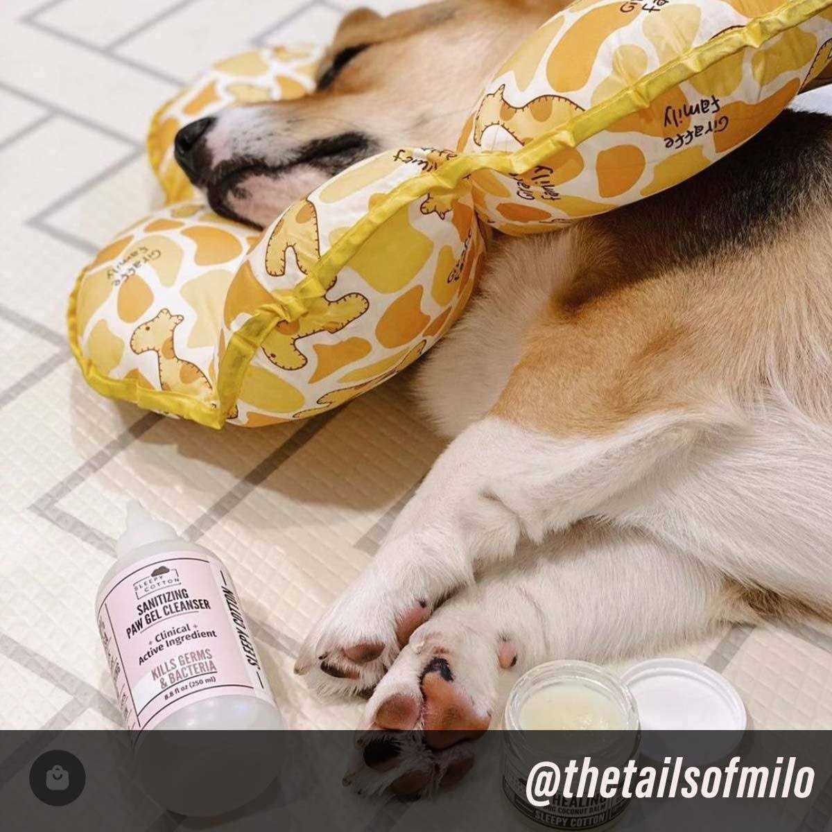Put An End to Dog Paw Licking with Our Highly Effective Paw Gel Cleanser - Healthber