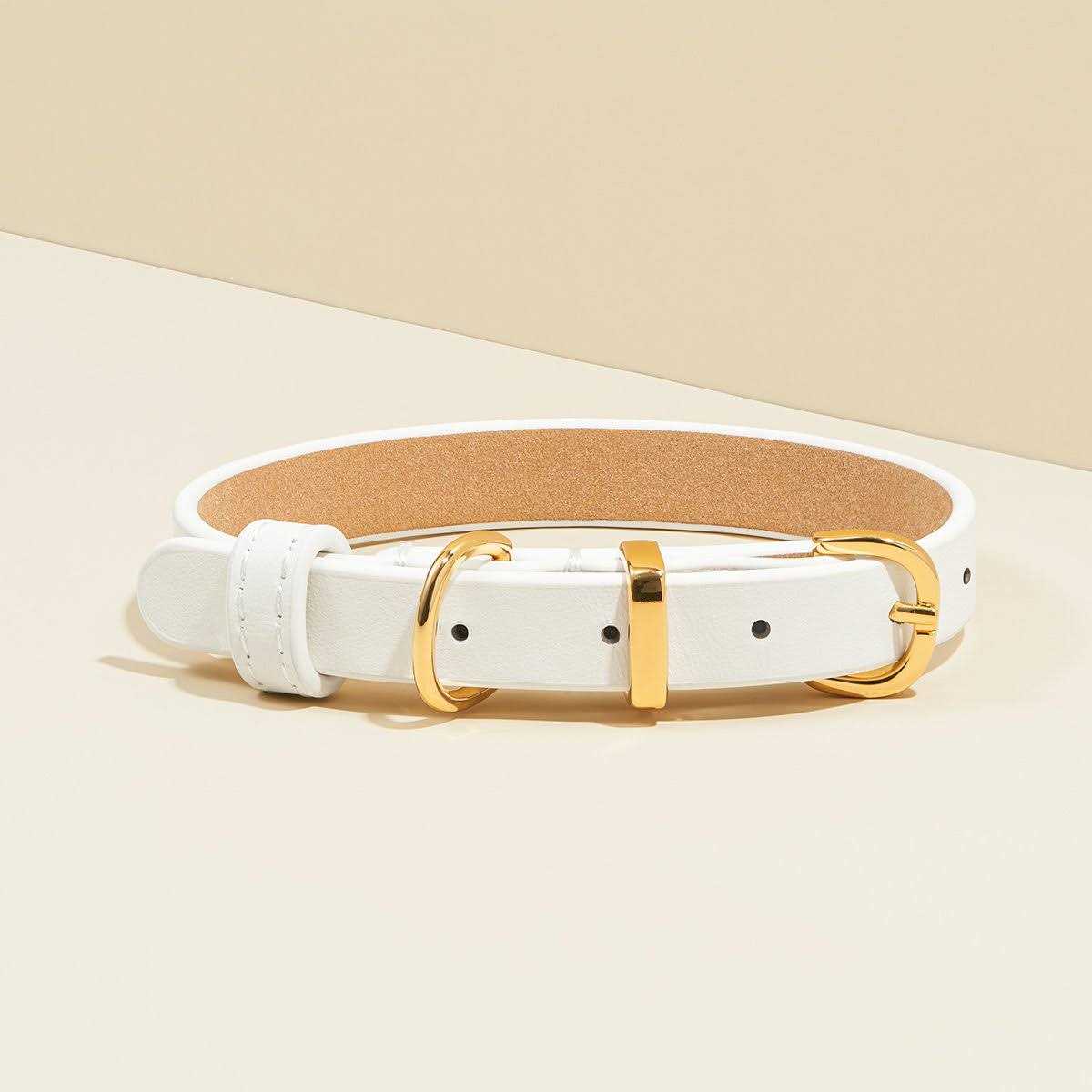 Scamper & Co Genuine Leather & Microfiber Bejeweled Circular Stud Dog Collar - Healthber