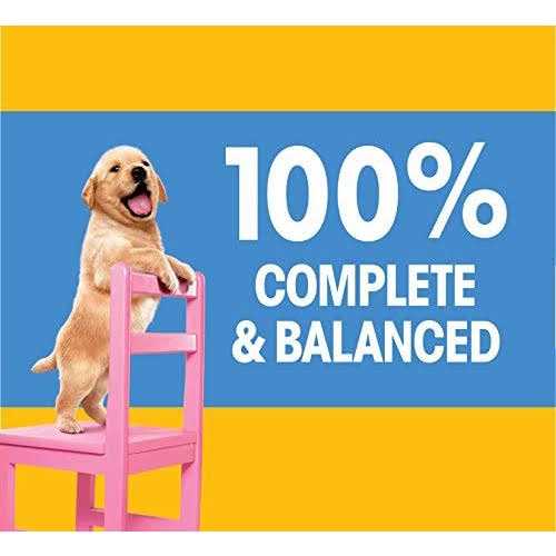 Pedigree Puppy Growth & Protection Chicken & Vegetable Dry Dog Food - Healthber