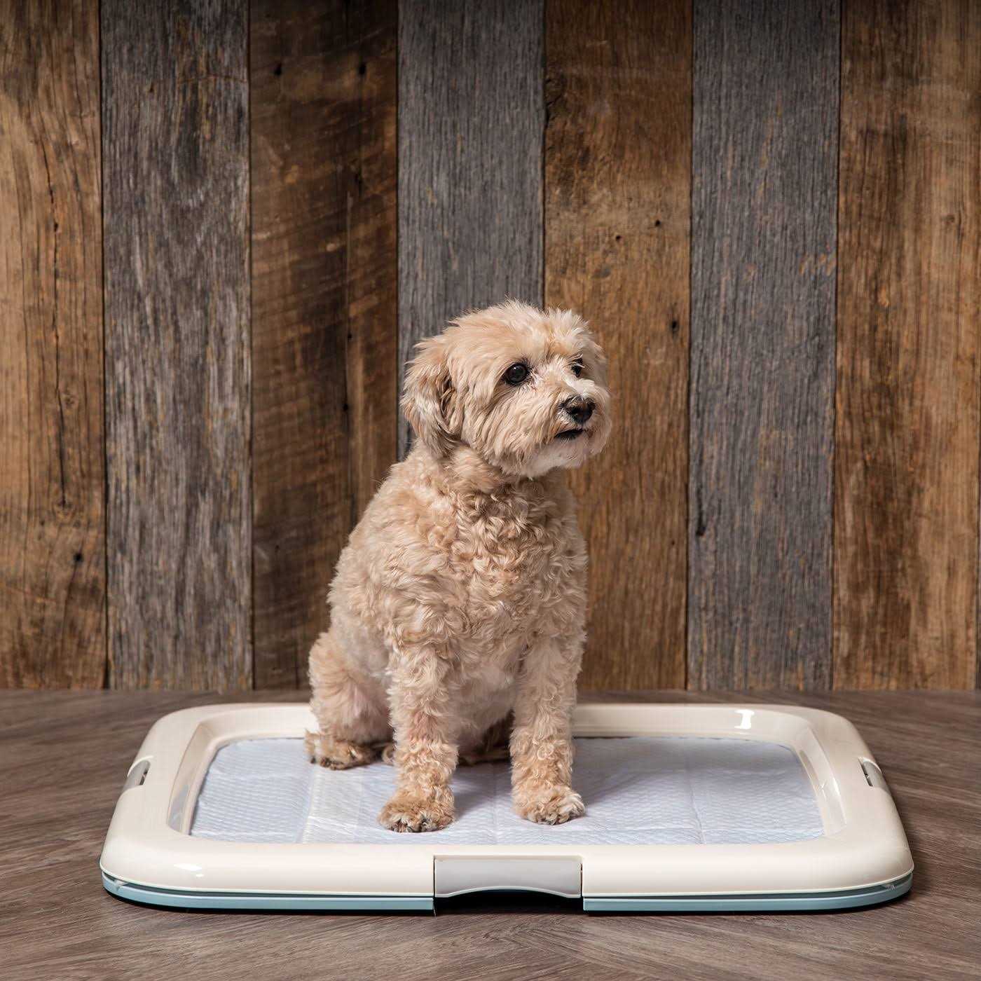 IRIS USA Square Pet Training Pad Holder - Healthber
