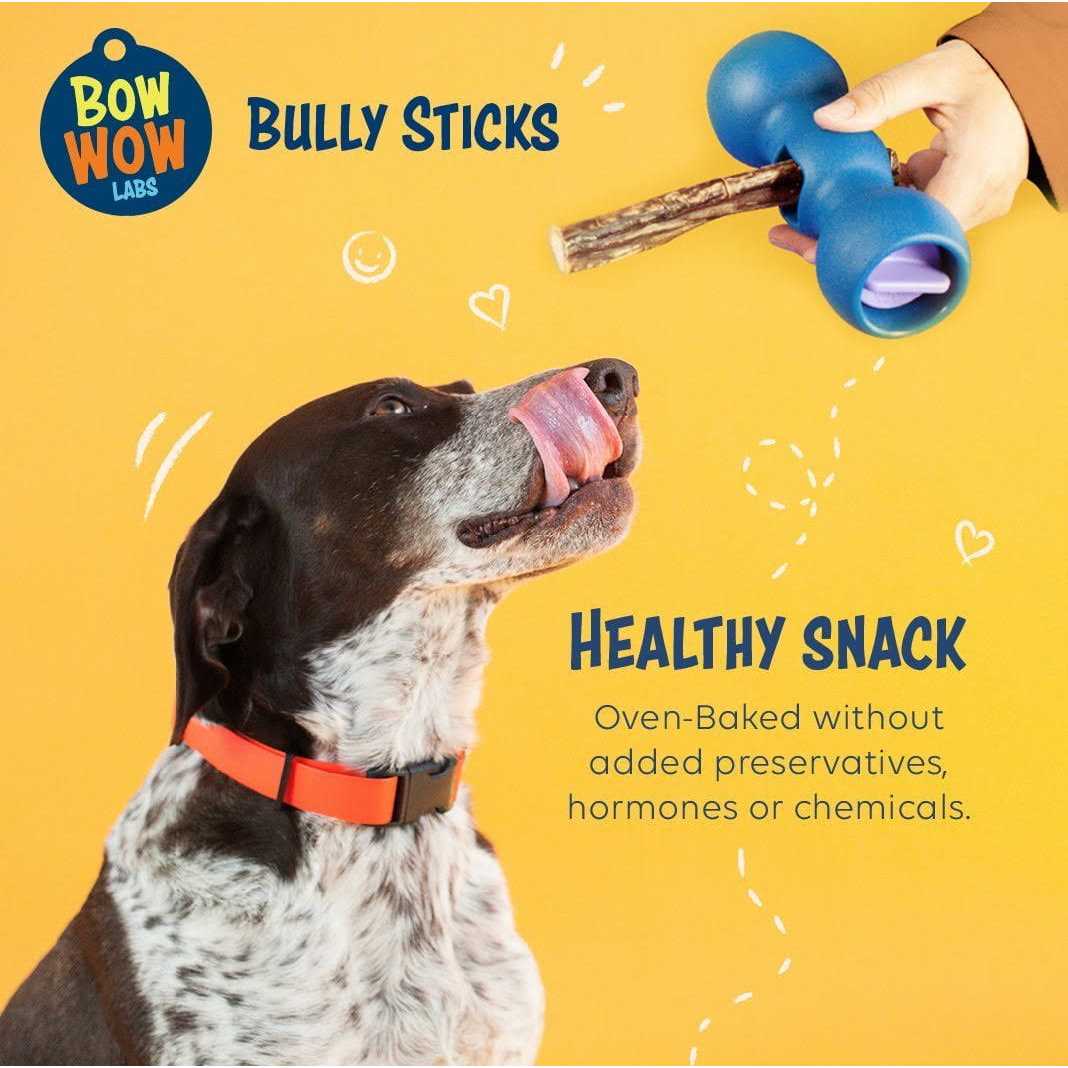 Bow Wow Labs Safe Fit Bully Sticks - Healthber