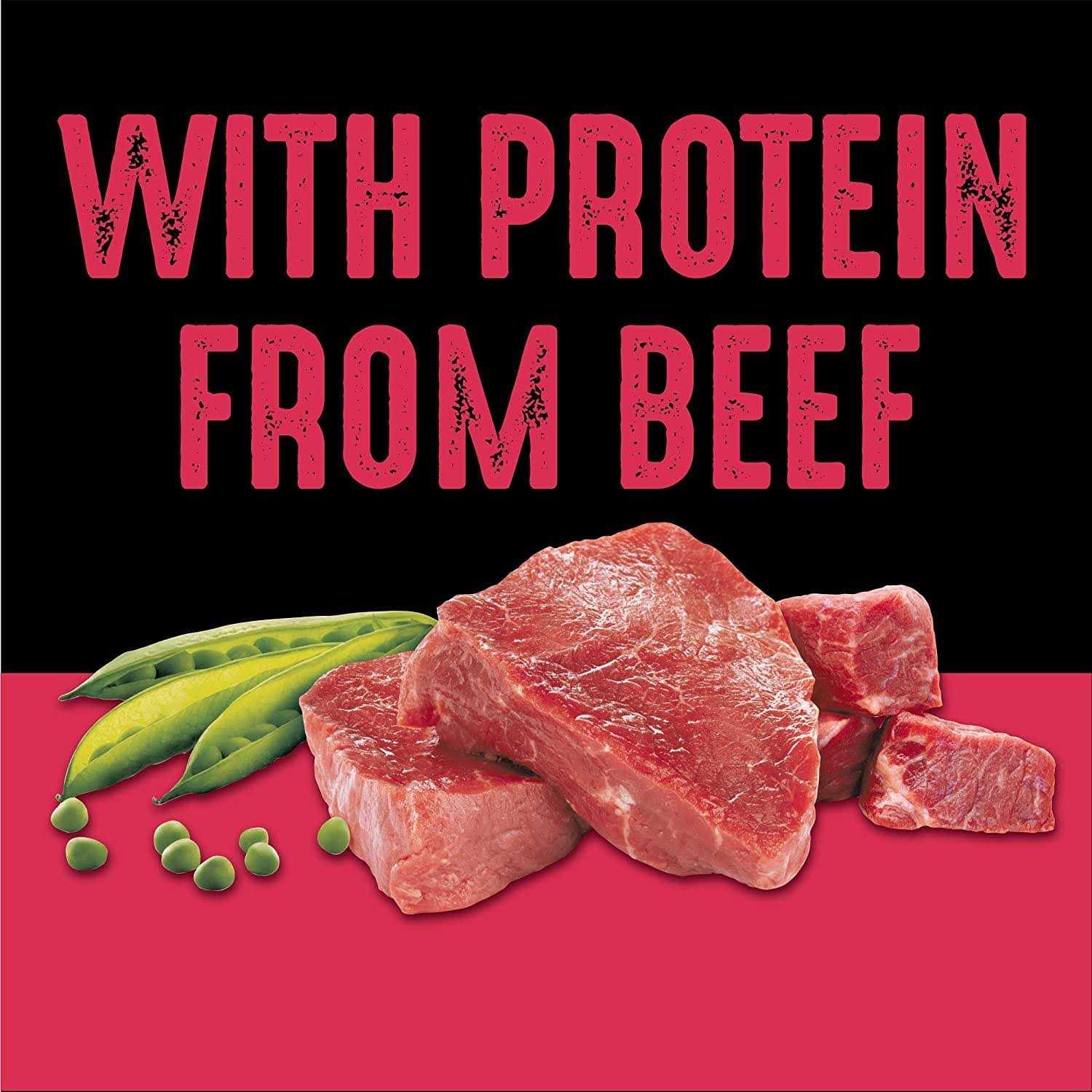 Crave Grain Free Adult Dry Dog Food with Protein - Healthber