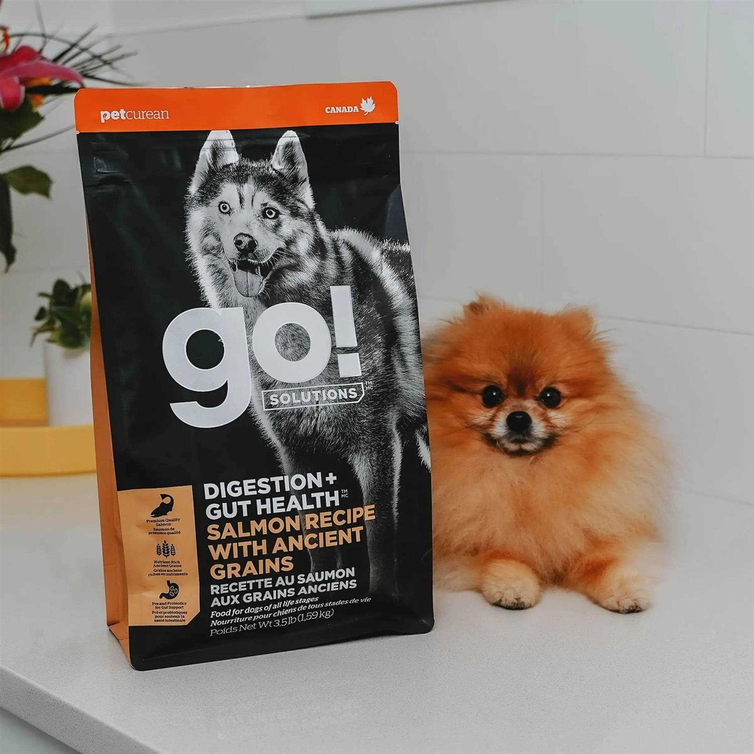 Go! Solutions Digestion Gut Health Salmon Recipe with Ancient Grains for Dogs - Healthber