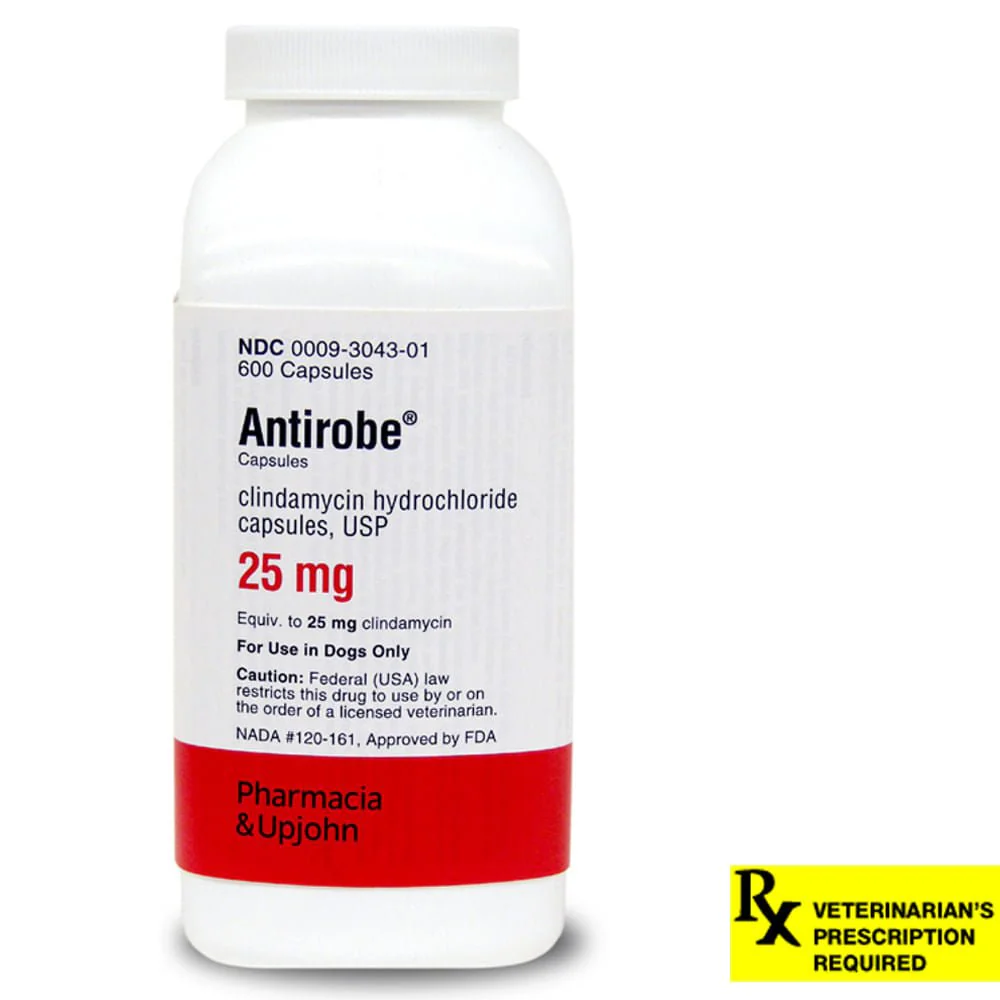 Rx Antirobe (clindamycin hydrochloride) Capsules for Dogs - Healthber