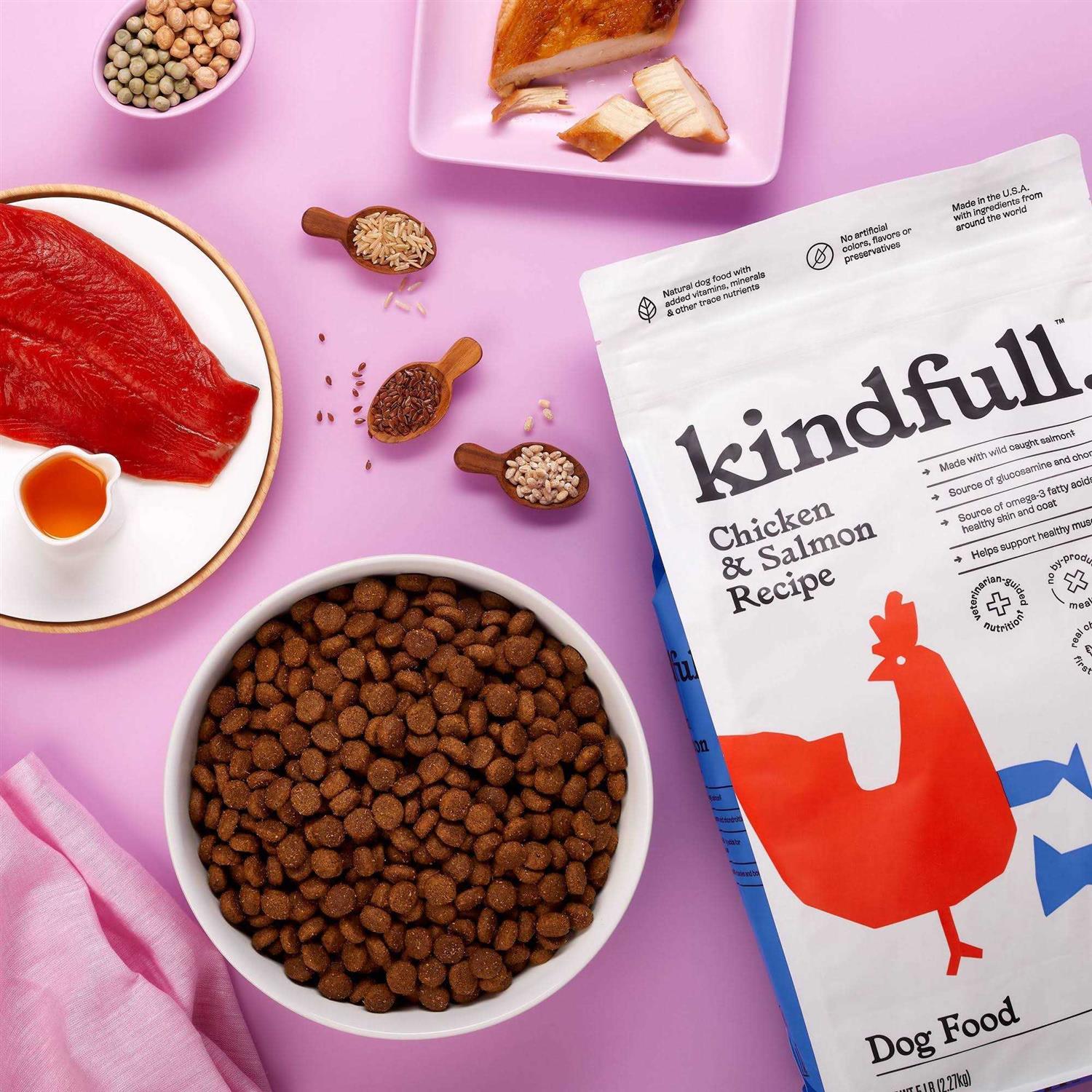 Kindfull Chicken and Salmon Recipe Dry Dog Food - Healthber