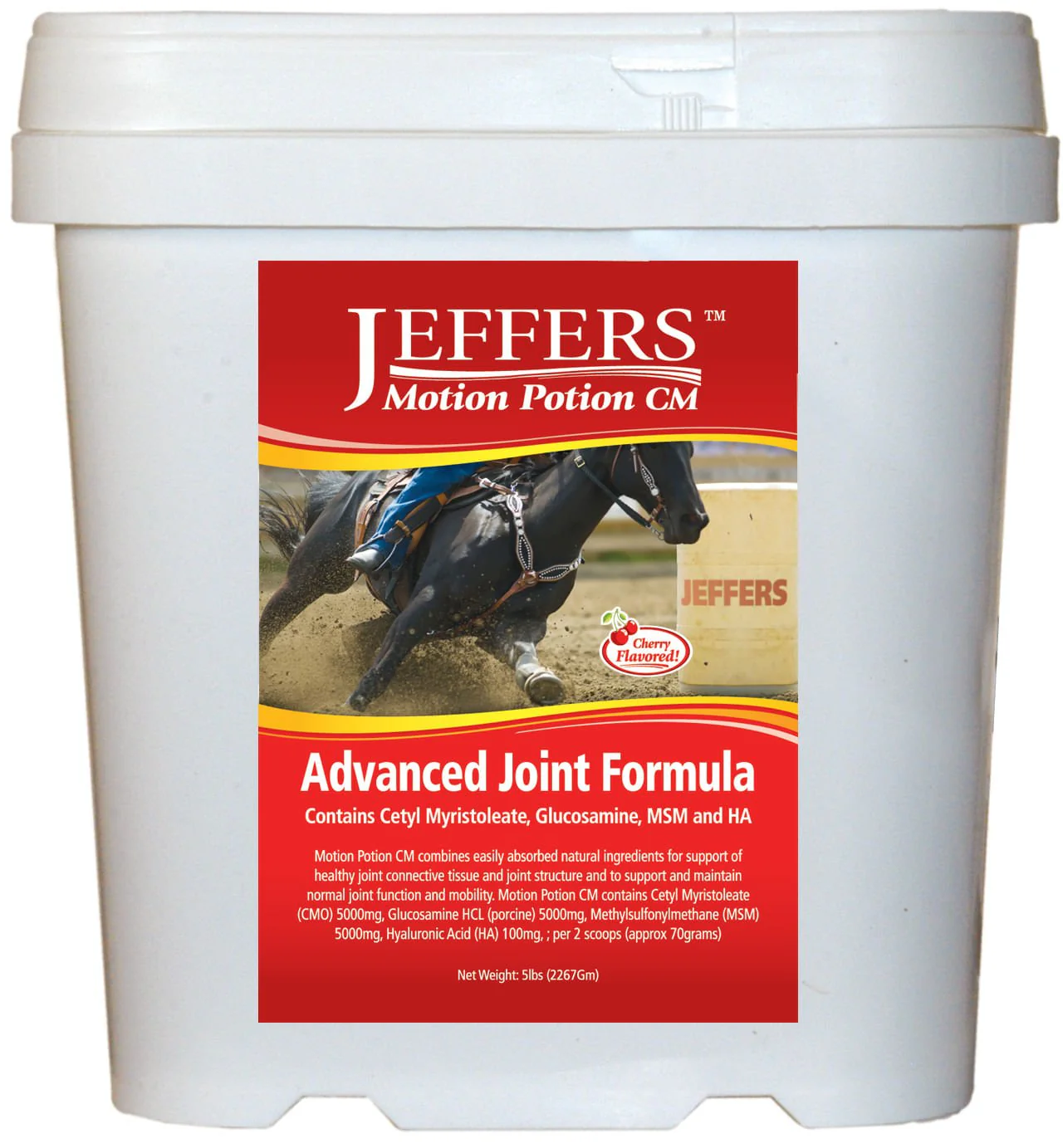 Motion Potion CM Advanced Joint Formula for Horses - Healthber