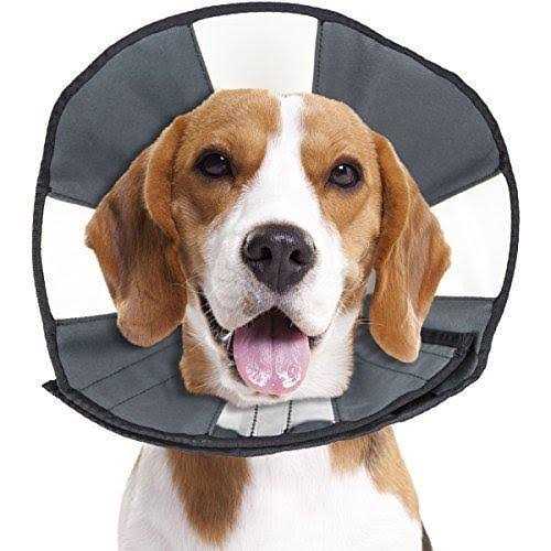 ZenPet Procone Soft Recovery Collar - Healthber